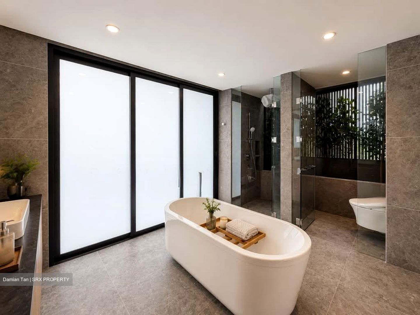 Hong Kong Park (D21), Detached #581211141